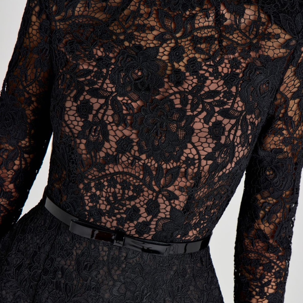 Nadine Merabi Addison Long Sleeve Lace Overlay Cocktail Minidress in size 6 NWT - Picture 4 of 11